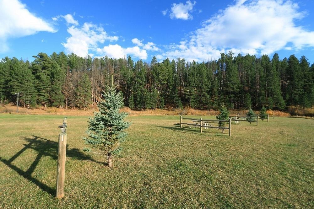Black Elk Resort Гілл-Сіті Номер фото